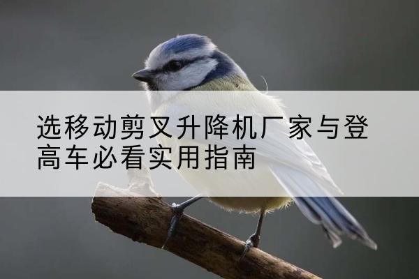 古塔电动升降机厂家-选移动剪叉升降机厂家与登高车必看实用指南