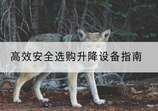 古塔升降货梯厂家推荐-*安全选购升降设备指南